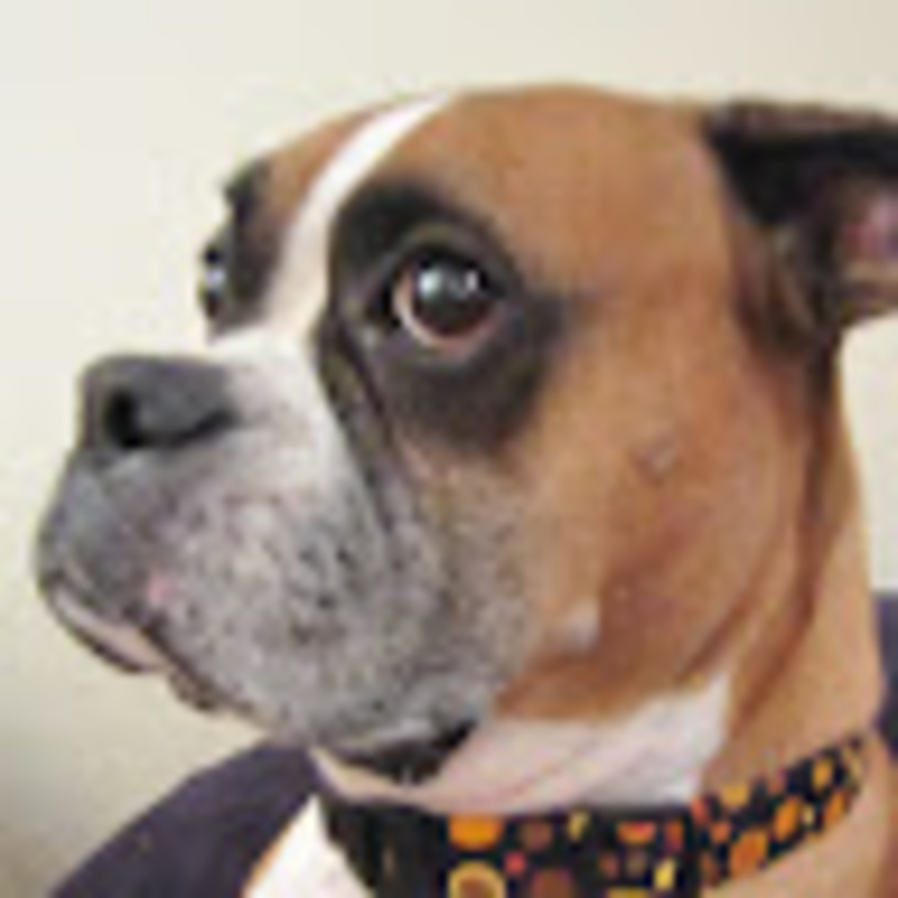 Meet your Posher, Sonia